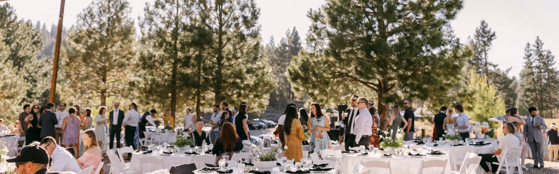 Venue Page header 3.png